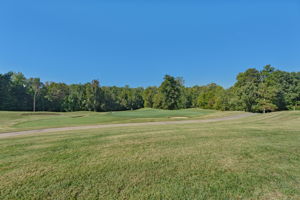 Course View