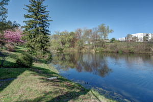  Photo 57