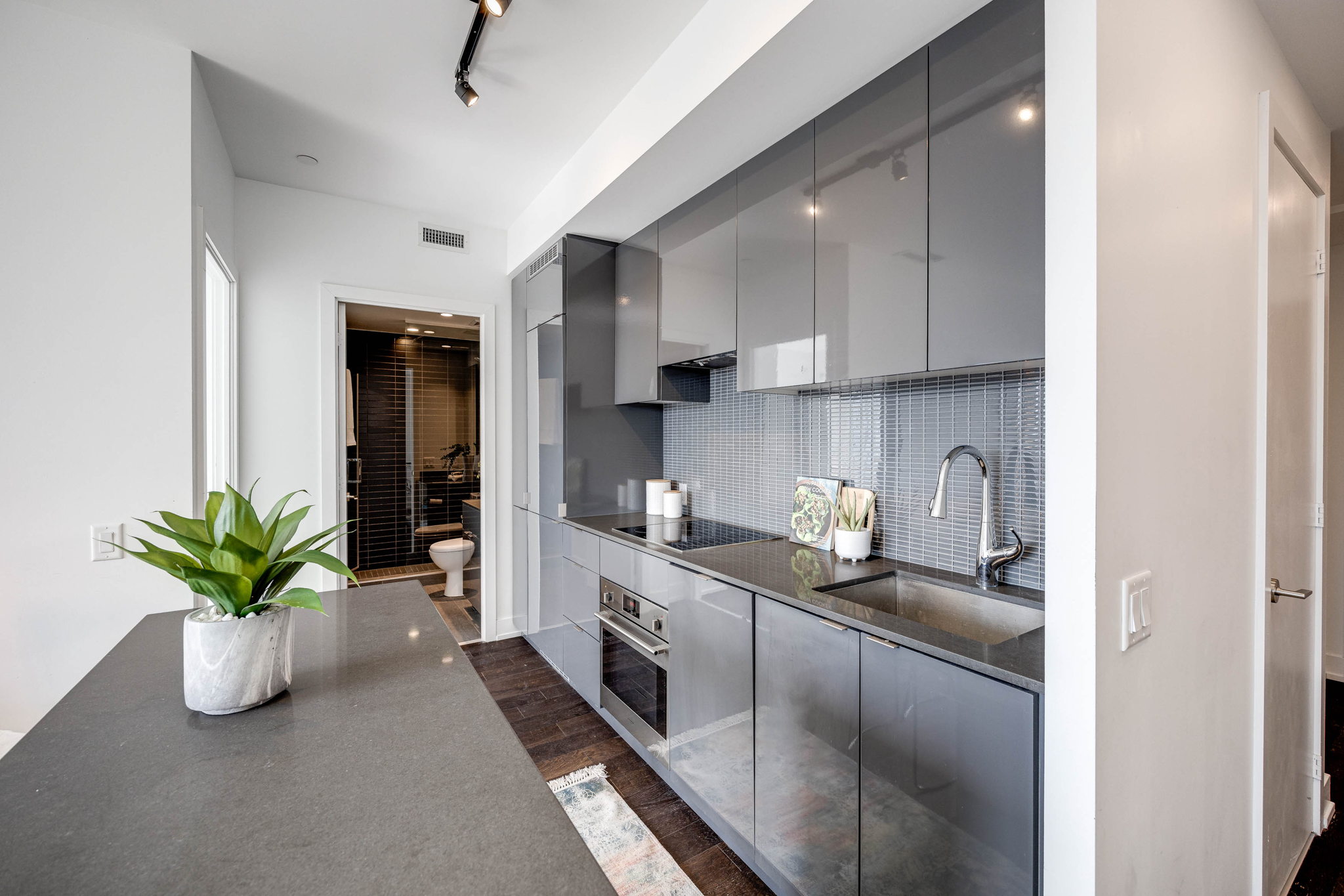 Toronto property showcase — delivered property photograph 14