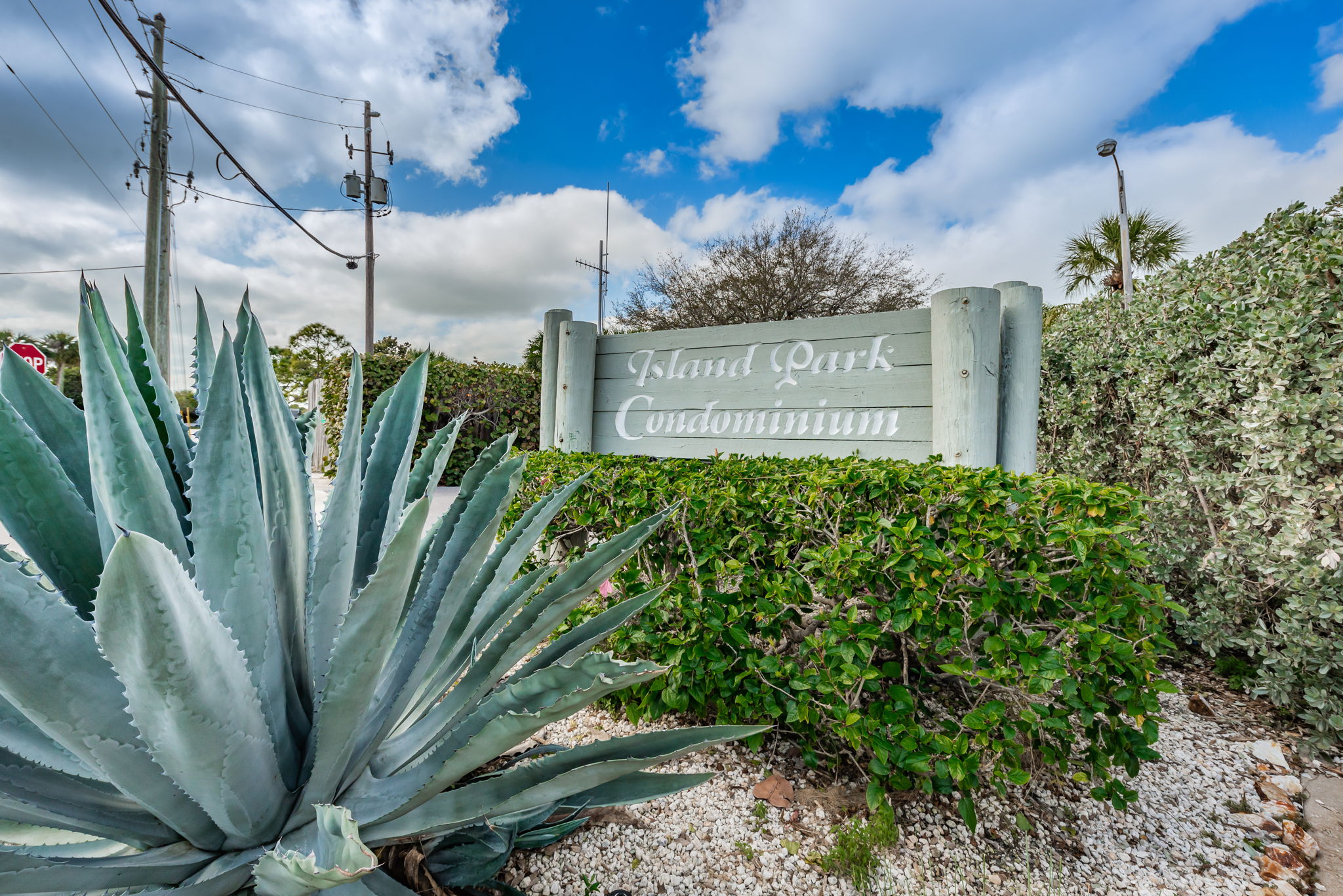 12-Island Park Condo