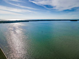 Aerial (18)