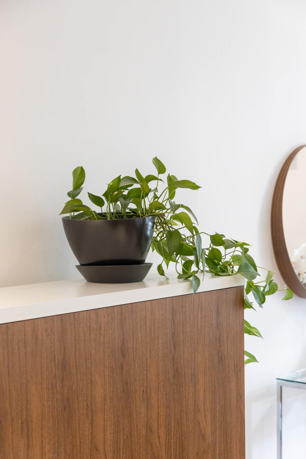 Toronto property showcase — delivered property photograph 30