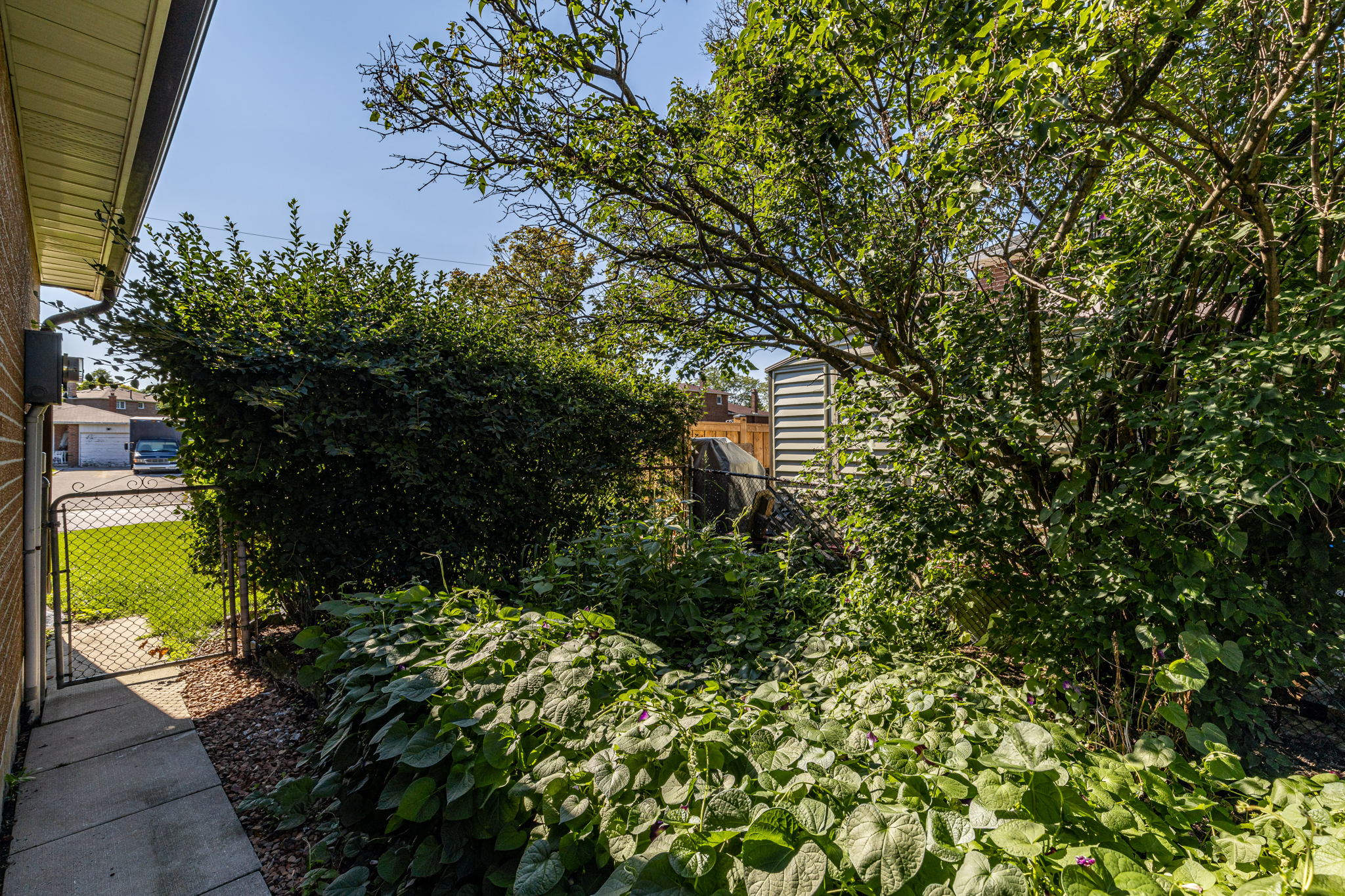 Brampton property showcase — delivered property photograph 37