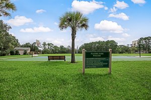 Sawgrass