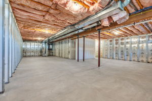  Photo 56