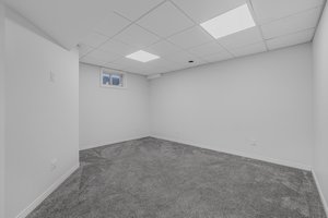 Photo 49