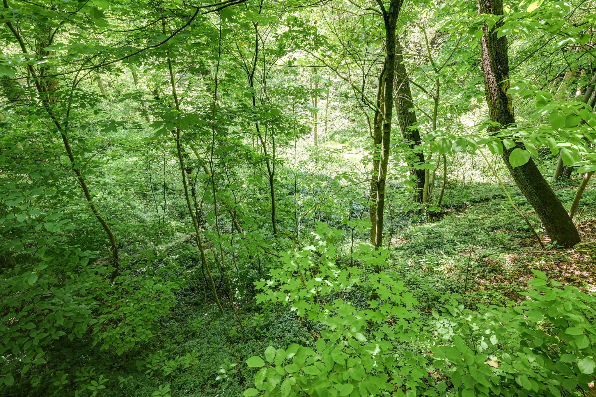  Photo 44