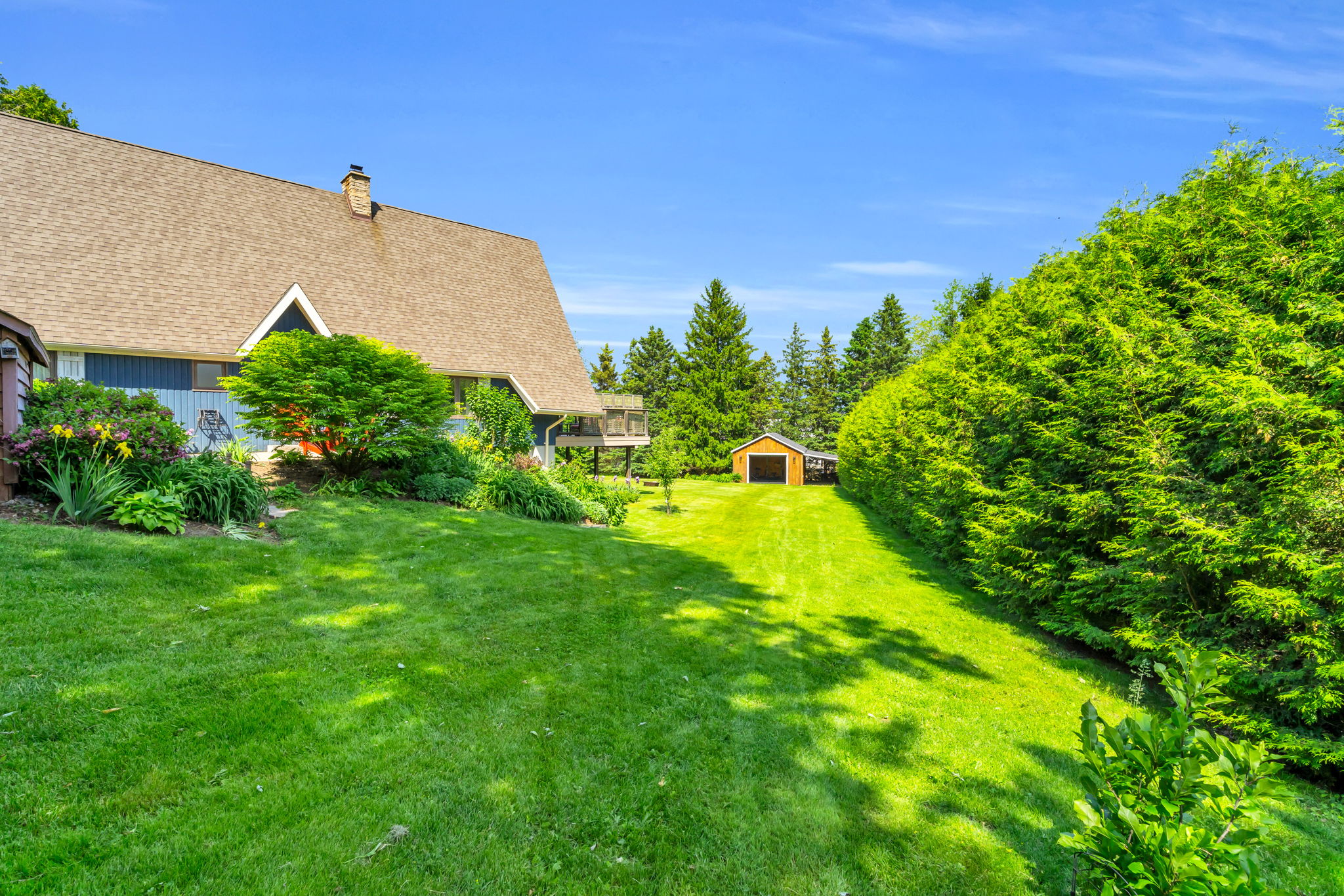 Backyard