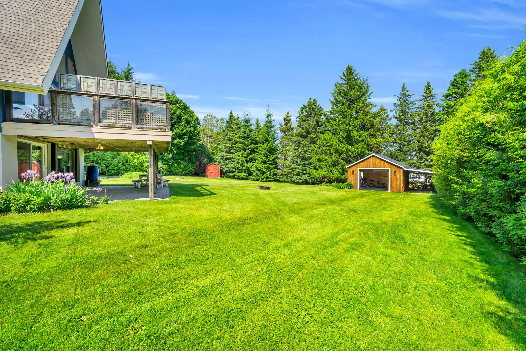 Backyard