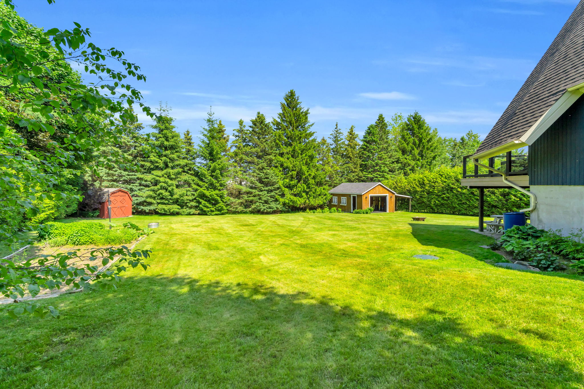Backyard