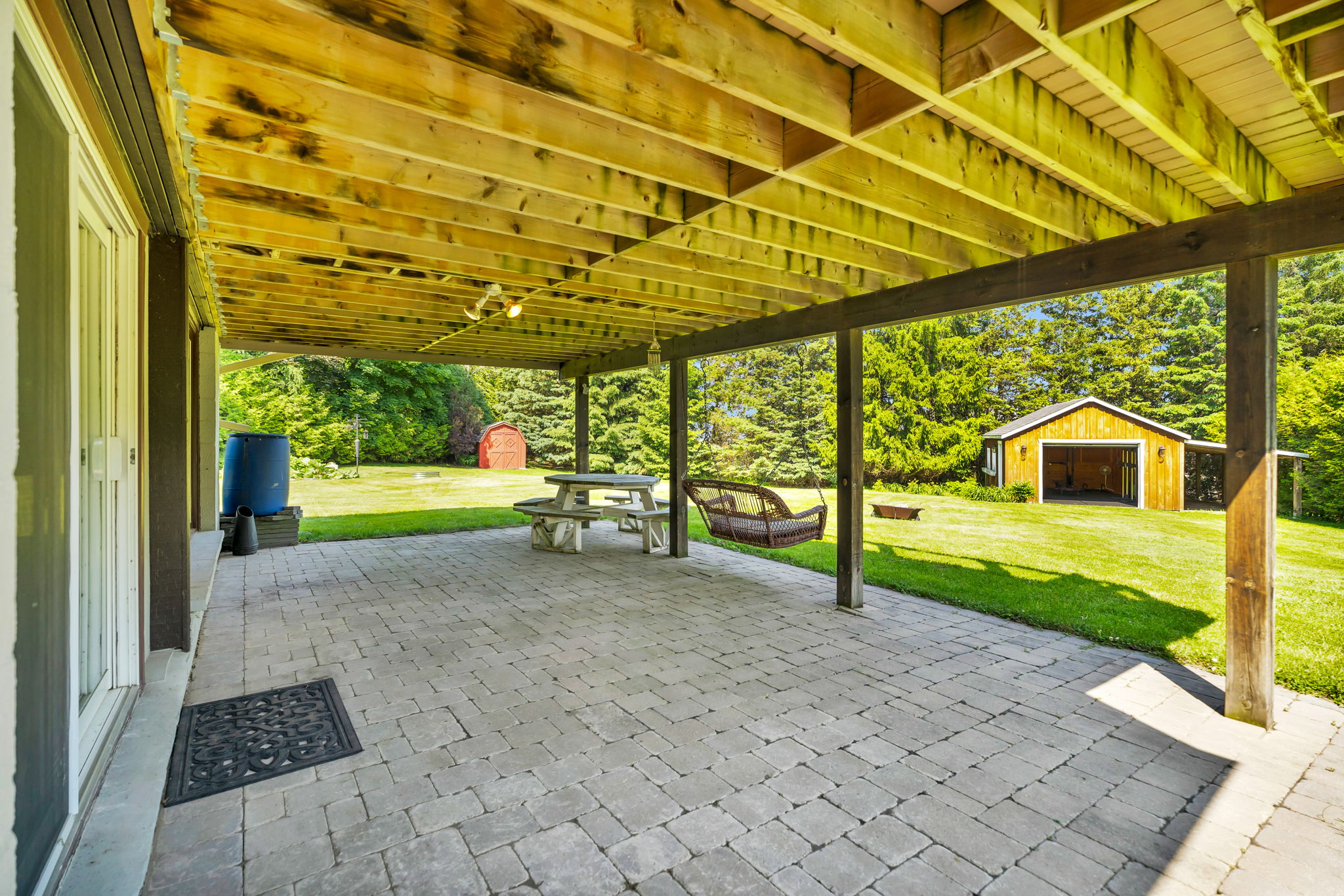 Backyard