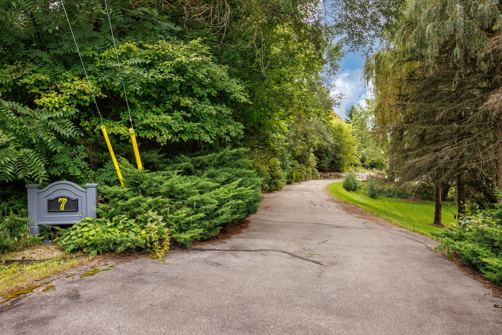  Photo 62
