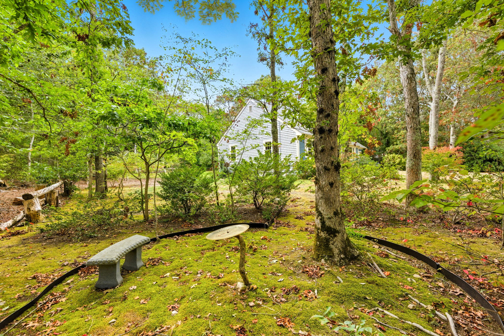 Front Yard