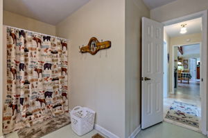  Photo 38