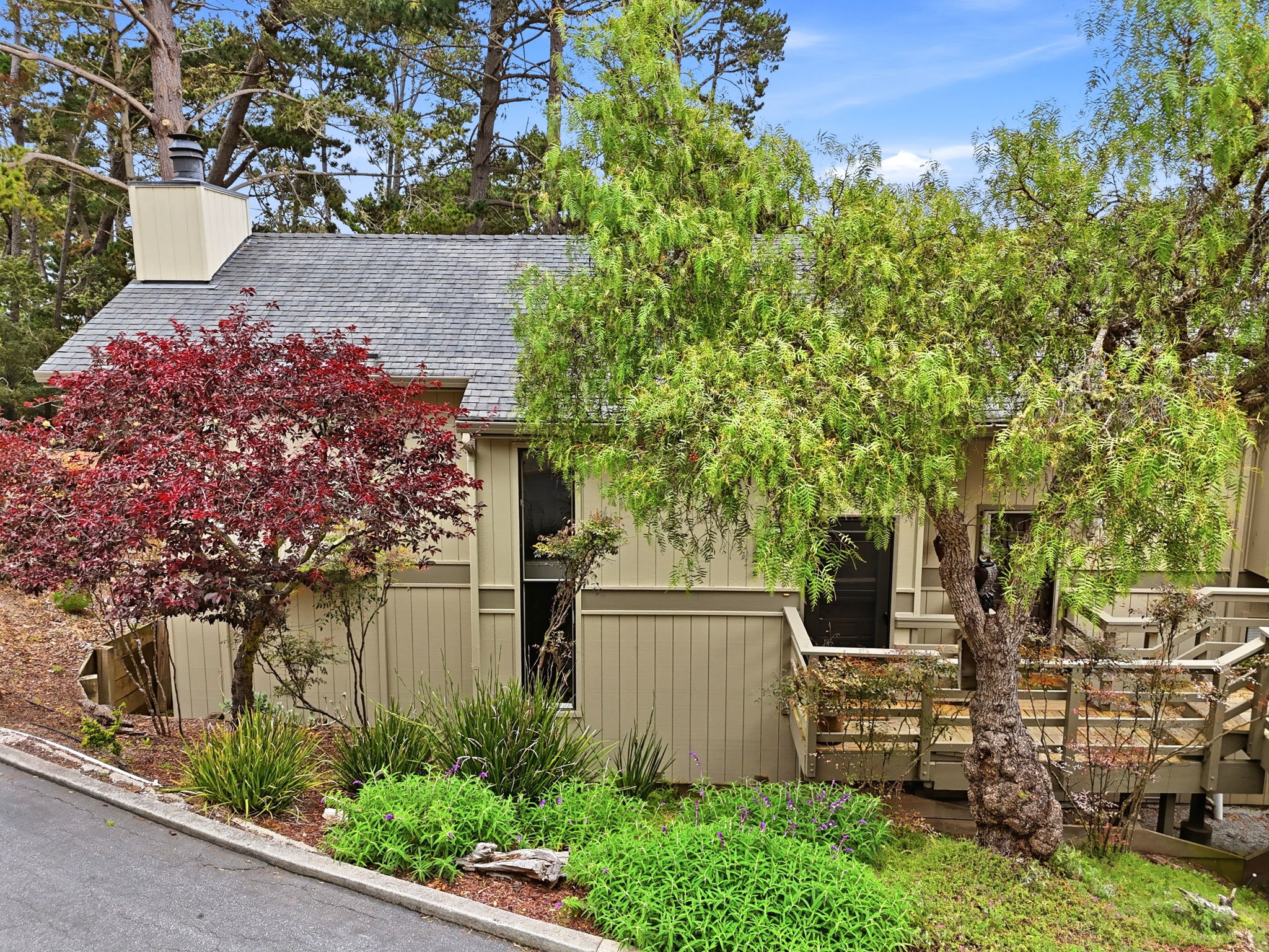 002_F8_70 Forest Ridge Rd 1