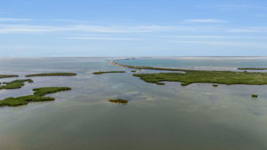  Photo 49