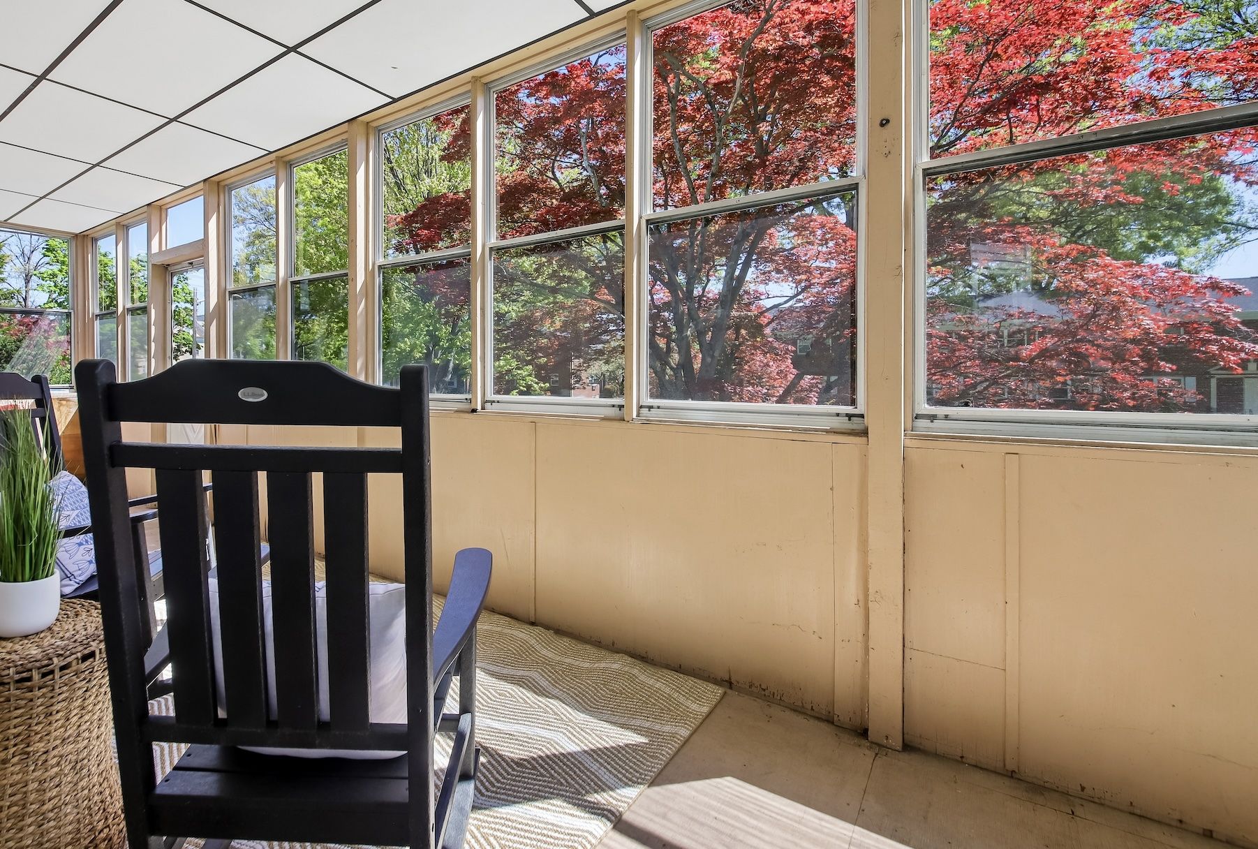 Dreaming the dream as the world evolved  ...