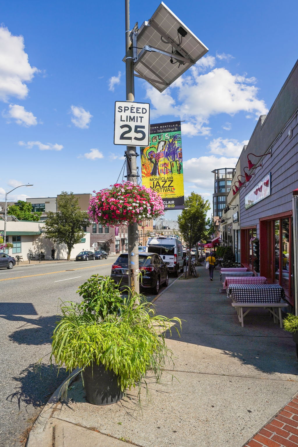 Everything you need on Bloomfield Ave!