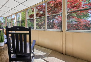 Dreaming the dream as the world evolved  ...