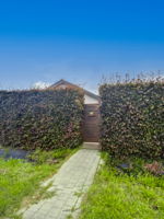  Photo 0