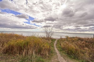  Photo 35