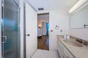 Primary Bathroom 1b