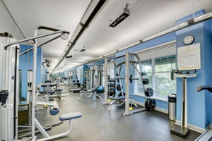  Photo 45
