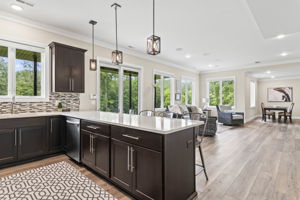 Lower Level - Kitchen