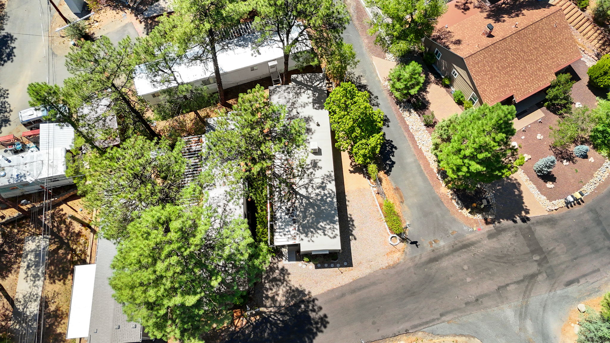 Birds Eye
