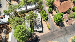 Birds Eye