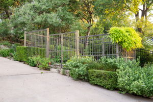  Photo 57