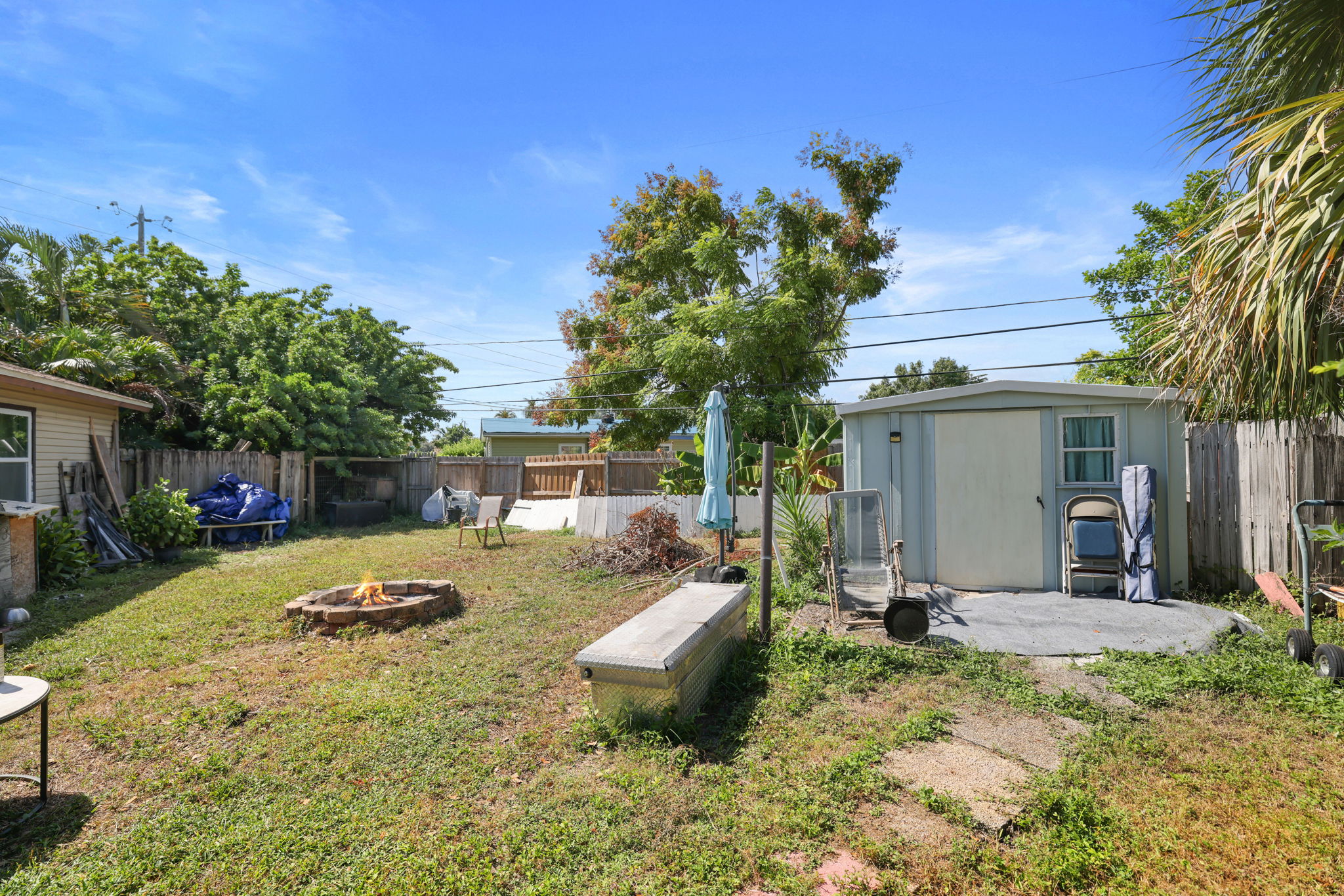 Backyard - 495A8820 (1)