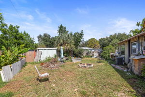 Backyard - 495A8812 (1)