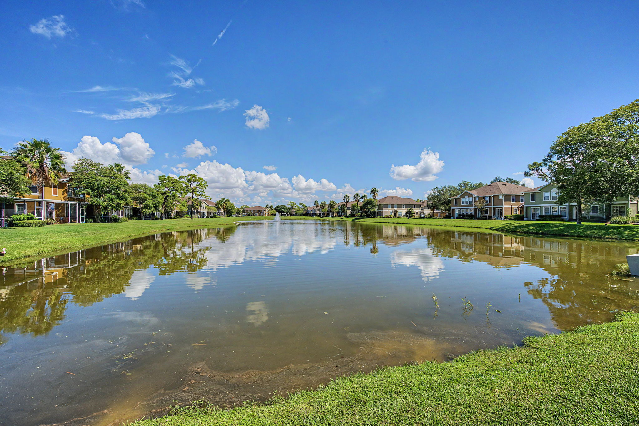 Pond View 1