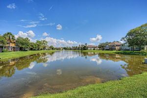 Pond View 1