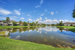 Pond View 2