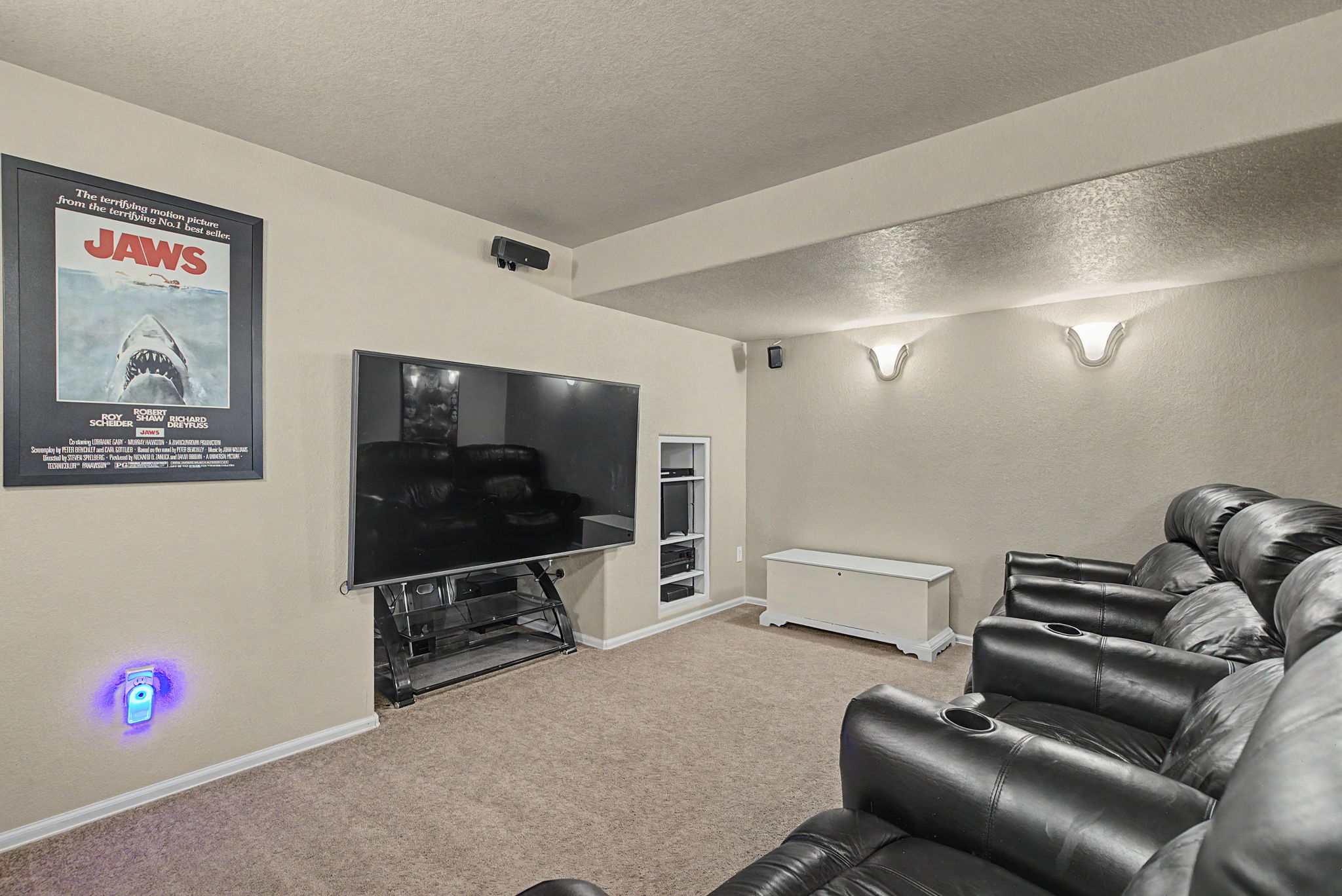 Theater Room