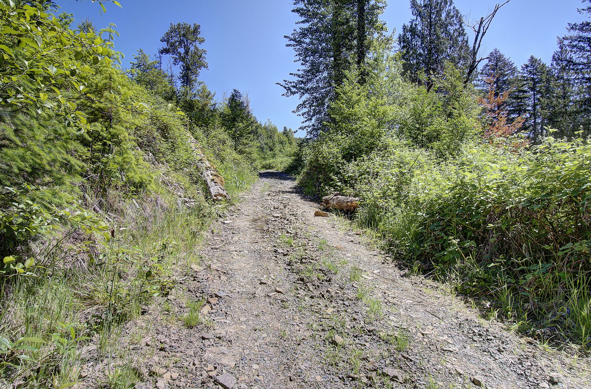 driveway2