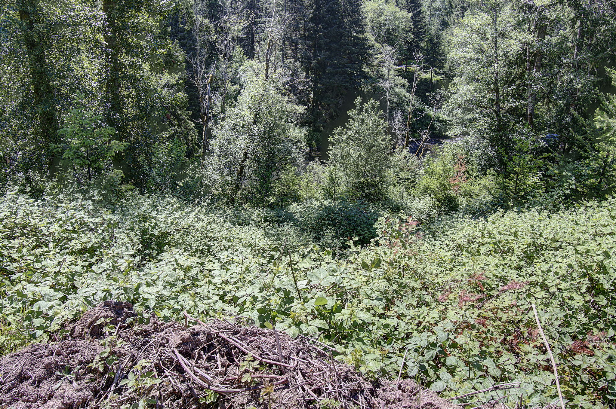 land