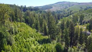 land and view