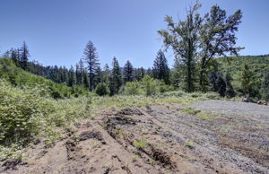 land 4