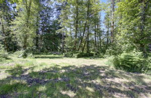 riverfront land