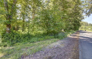 riverfront land2