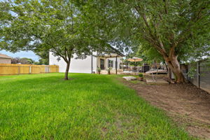 Photo 41