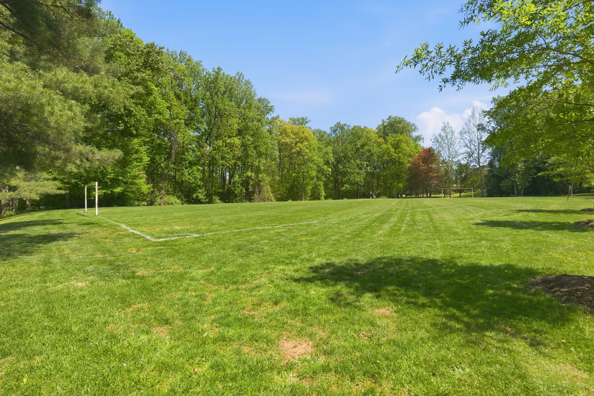 7005 Endicott Ct Bethesda MD 20817_113