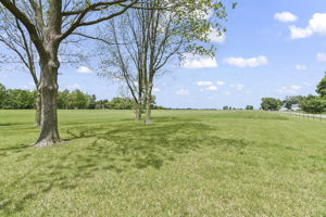 Pasture