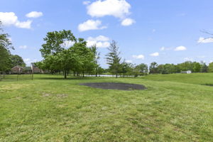 Pasture