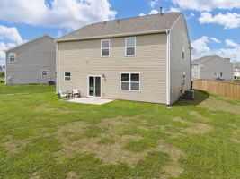  Photo 41