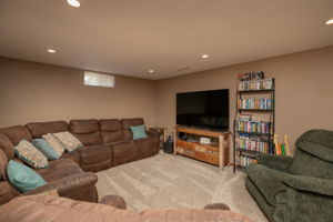 Lower Level Family Room