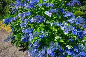  Photo 0